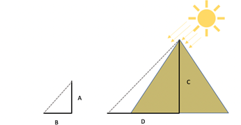 A er høyden til en oppsatt stav. C er høyden til pyramiden. B og D er lengden av skyggen til staven og pyramiden. 